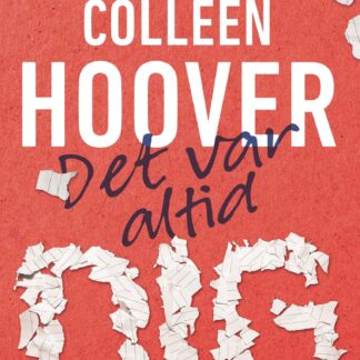 det var altid dig ungdomsbog colleen hoover