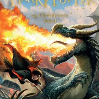 harry potter og flammernes pokal, ungdomsbog, magi, fantasy