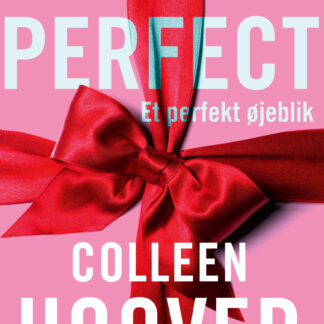 et perfekt øjeblik finding perfect, colleen hoover, ungdomsbøger, seriebøger, måske en dag
